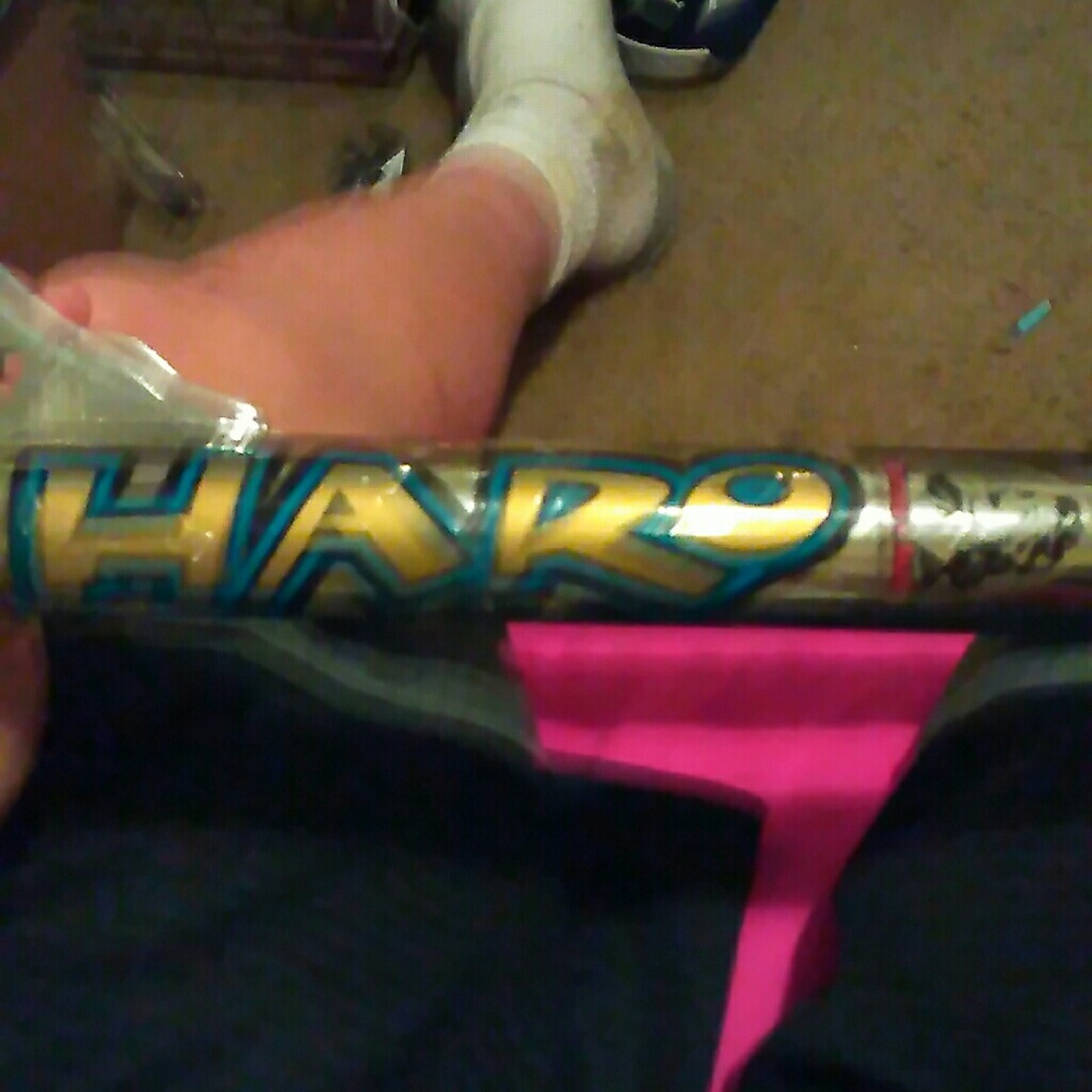 Haro fork for a 20" bike